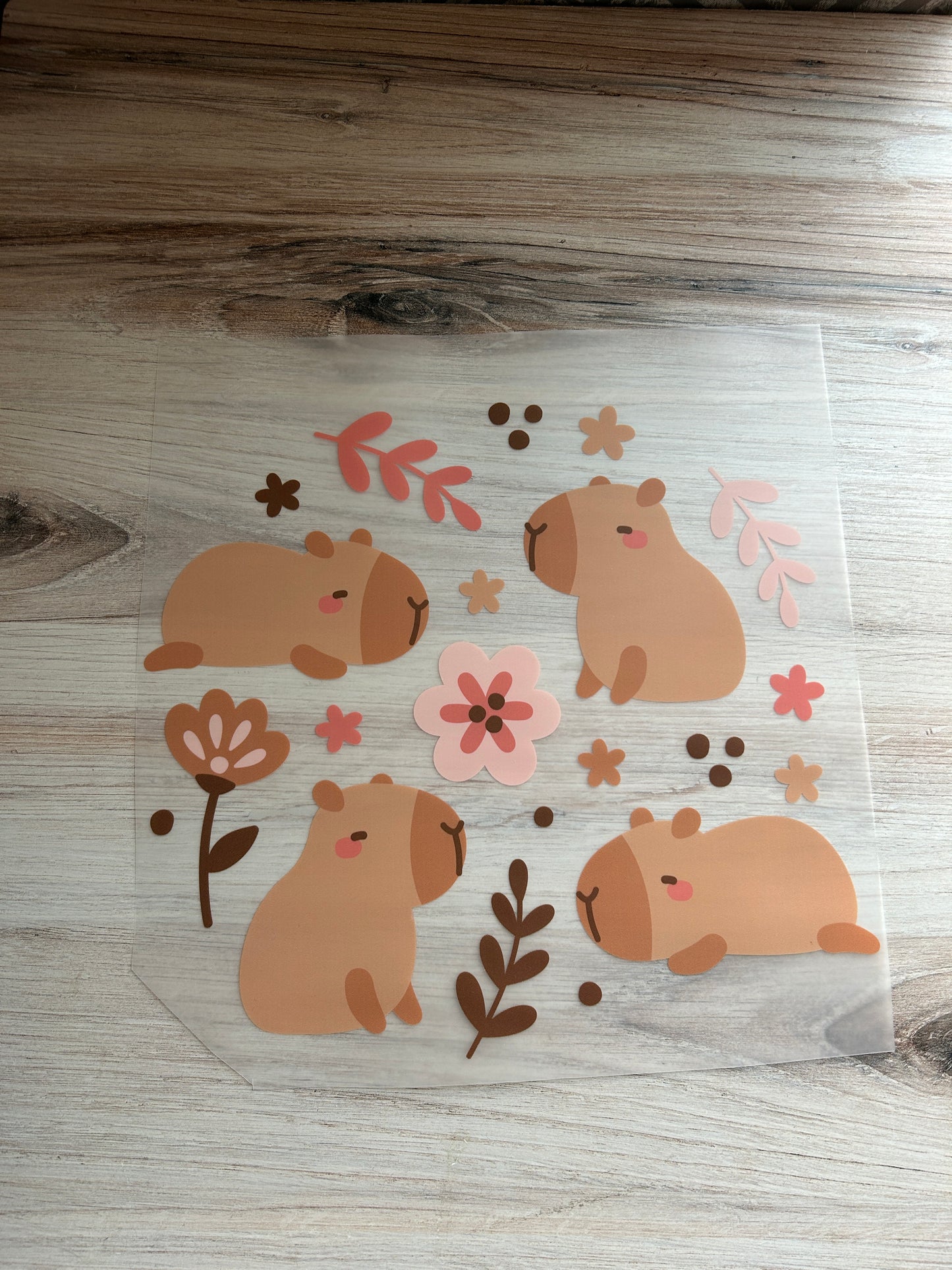 Capybara Transfer