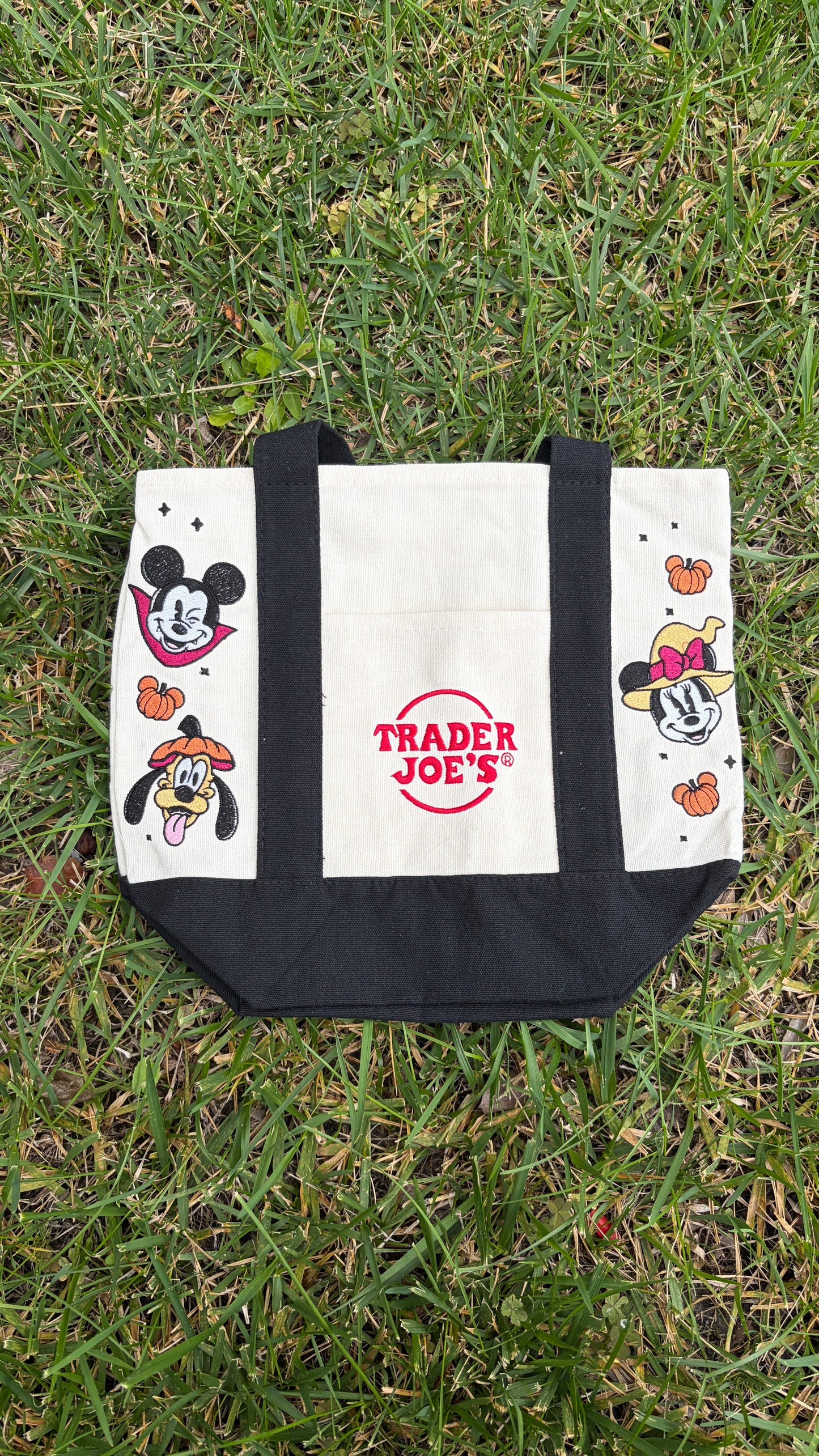 RTS Mini Mickey Halloween Black Embroidered Tote