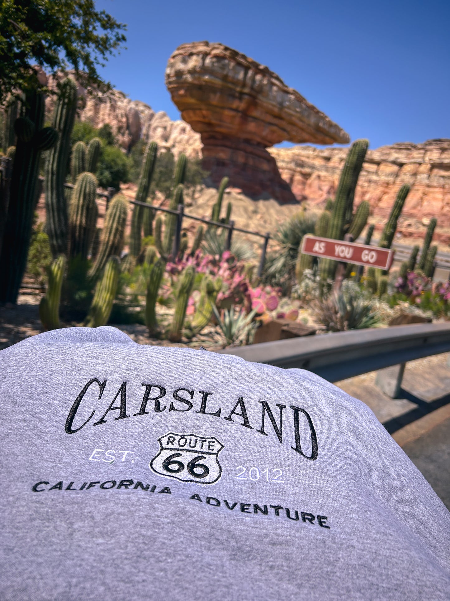 Cars Land Embroidered Sweater