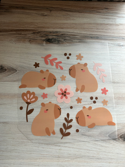 Capybara Transfer