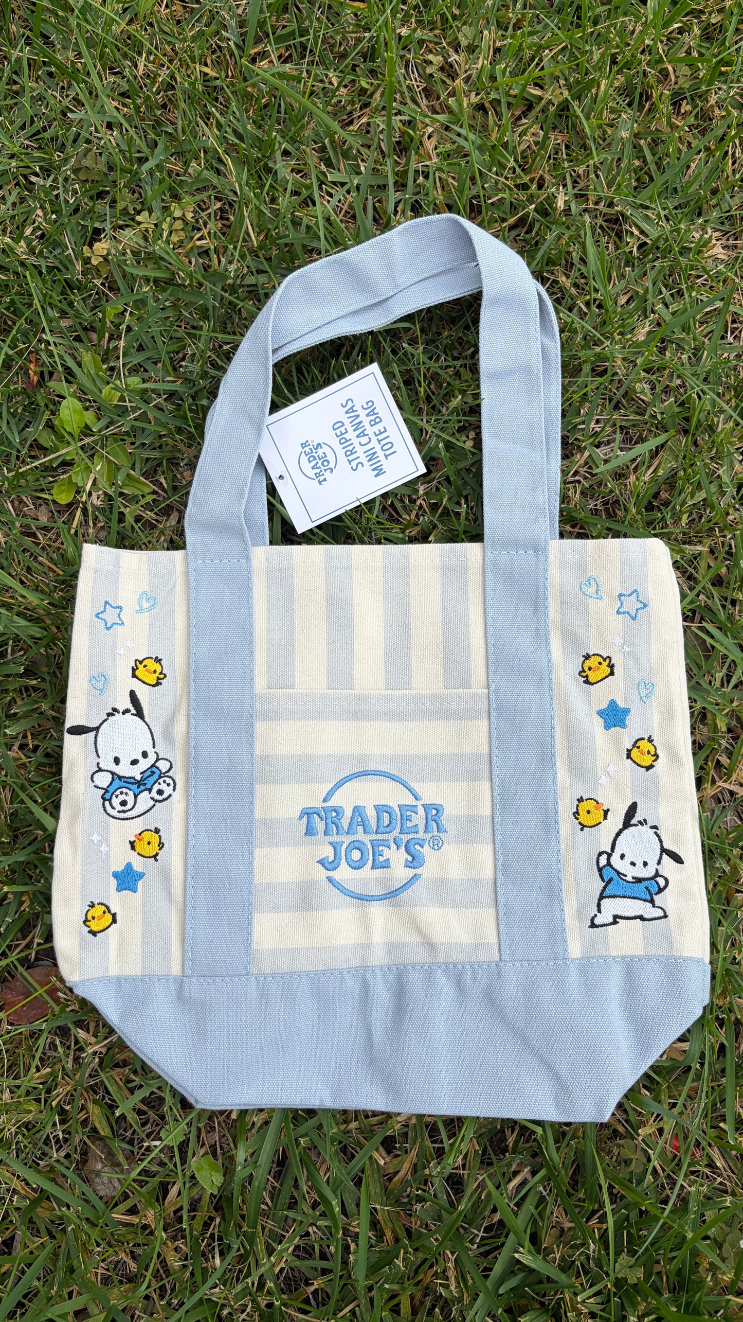 RTS Mini Pochacco Striped Blue Embroidered Tote